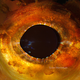 Illustration for article titled The eyes of animals look a lot like alien worlds